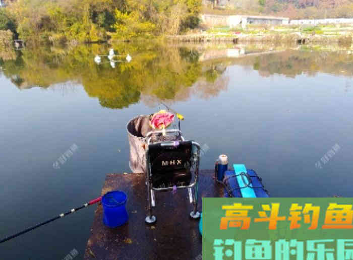 冬钓大鲫气温与鱼性和水深浅定位，窝饵与酒米作用