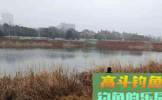 鲫鱼开始扎堆,要在这些地方找到鱼窝 鲫鱼开始扎堆,要在这些地方找到鱼窝