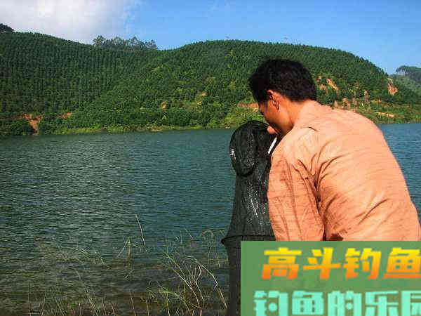 两斤的鲮鱼能切2.0的子线，这种鱼该如何垂钓？