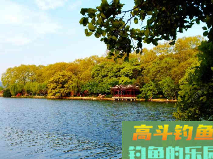如何在浅水域钓大鲫鱼,学好这3个技巧,爆护不远了 如何在浅水域钓大鲫鱼,学好这3个技巧,爆护不远了