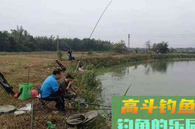钓了十二年鳊鱼才知，这样一套钓法才是连竿上鱼的关键