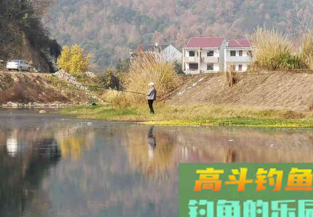 冬钓鲫,朝南坐还是朝北坐? 冬钓鲫,朝南坐还是朝北坐?