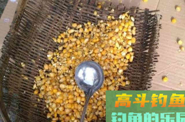 别嫌草鱼难钓到怀疑人生,二十老钓手用了这绝招 别嫌草鱼难钓到怀疑人生,二十老钓手用了这绝招