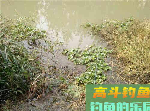 冬季要想鲫鱼钓得多，多打窝，冬季野钓打窝技巧