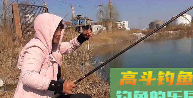 夏季钓黑鱼，分析黑鱼的生活习性选择合适钓法