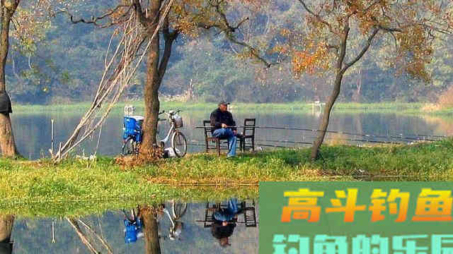 春季野钓大板鲫,远离这六大误区 春季野钓大板鲫,远离这六大误区