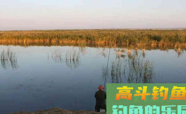 深秋初冬手竿钓鲫鱼,这些常用老套路,助你连竿上鱼 深秋初冬手竿钓鲫鱼,这些常用老套路,助你连竿上鱼