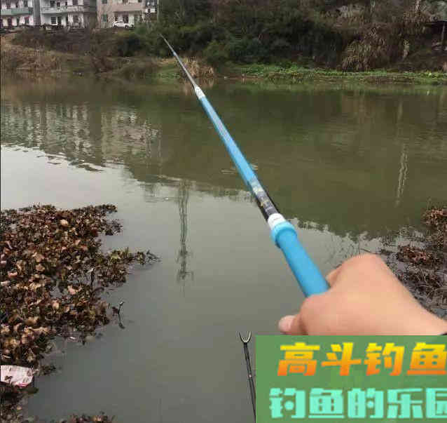 开春后如何钓到大鲫鱼？换个角度想对策就行