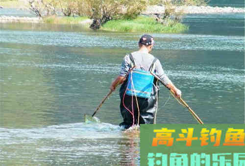 为何野钓鲤鱼,中钩的总是小多大少 为何野钓鲤鱼,中钩的总是小多大少