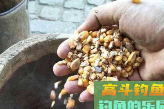 天一热,我只要有这鳊鱼钓法,渔获不愁 天一热,我只要有这鳊鱼钓法,渔获不愁