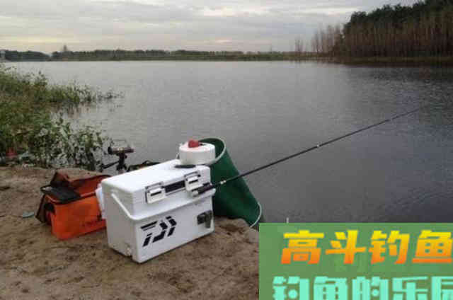 立秋过后，草鱼只要按我说的钓就爆护