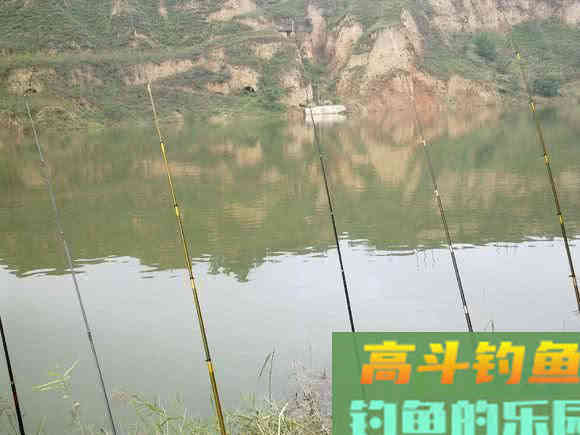 谁说大草鱼难钓?从四个方面探究,分享三种钓法 谁说大草鱼难钓?从四个方面探究,分享三种钓法