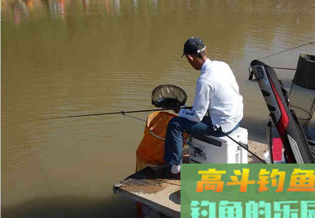 初冬钓大板鲫,记住“4要诀”,大板鲫连杆上 初冬钓大板鲫,记住“4要诀”,大板鲫连杆上