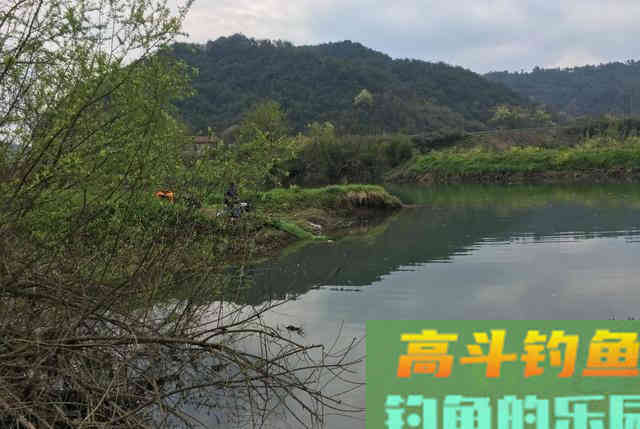如何春天里寻找黄辣丁？大雨后，守住这些位置有惊喜