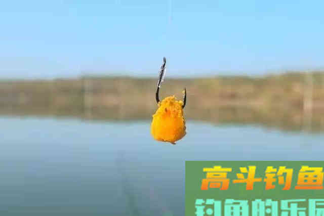 别觉得春天气温低就钓不到鲤鱼,注意这几点 别觉得春天气温低就钓不到鲤鱼,注意这几点