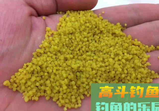 同样是空钩蘸小米，为啥别人连杆大板鲫，你不行