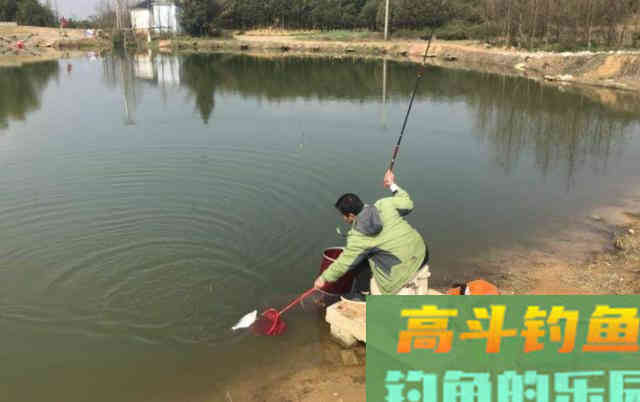 有霜天，我一般这样钓鱼，鲫鱼越钓越多