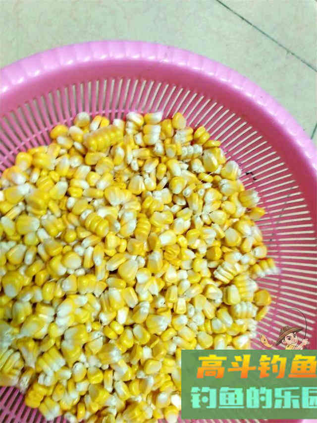 鳊鱼狂口期已到，攻略及技巧分享，选好钓位不会走空