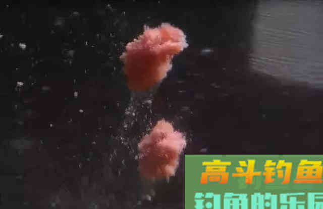 冬季钓鲫鱼,为什么鱼情差?有5个常识性的错误 冬季钓鲫鱼,为什么鱼情差?有5个常识性的错误