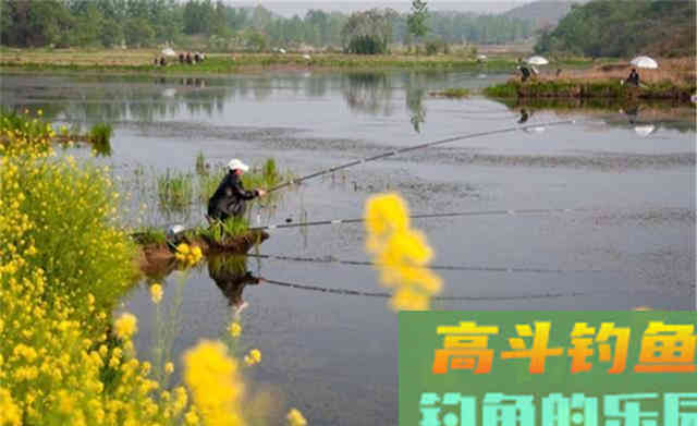 鲫鱼钓了20年,才发现这4招才是致胜的关键 鲫鱼钓了20年,才发现这4招才是致胜的关键