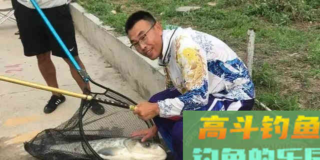 夏季鲢鳙怎么钓？掌握鱼情、水情、钓深、钓浅等