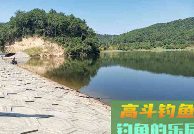 抛竿钓鲢鳙,新手试试我这个办法 抛竿钓鲢鳙,新手试试我这个办法