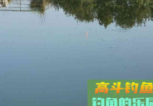 玉米钓不到鲤鱼,很有可能用法不对 玉米钓不到鲤鱼,很有可能用法不对