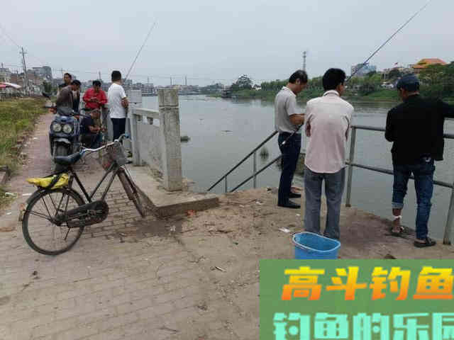 两广海南的钓鱼人,谈论钓罗非的技巧 两广海南的钓鱼人,谈论钓罗非的技巧