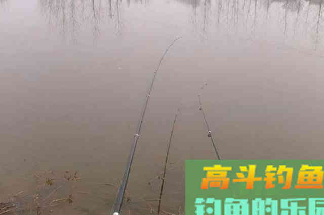 钓了三十年板鲫，如今才用这特色钓法