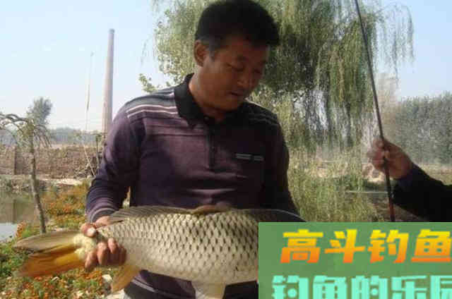 &ldquo;狡猾&rdquo;的鲤鱼太难钓？按我说的做