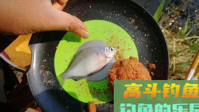 夏钓鲫鱼,这样开制搓饵与拉饵,诱钓结合轻松避小鱼 夏钓鲫鱼,这样开制搓饵与拉饵,诱钓结合轻松避小鱼