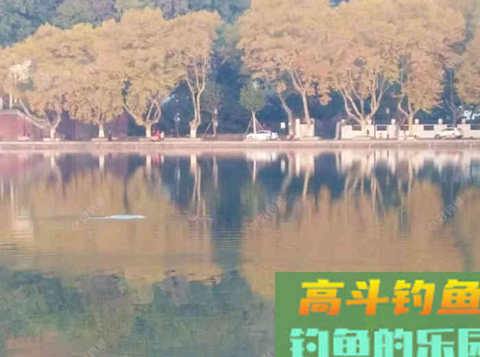 冬钓轻口鲫鱼的方法，谈鲫鱼若干漂相与应变技巧