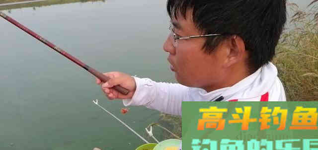 白条学会这样钓，直接拉到手软