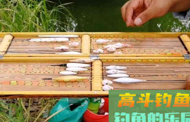 实话实说，自从用了这鲫鱼钓法，连老司机都拍案叫绝