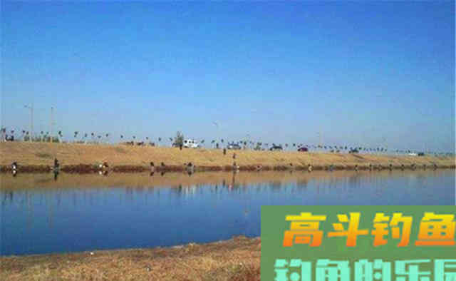 过了霜降鲫鱼开始扎堆,下竿之前先找鱼窝 过了霜降鲫鱼开始扎堆,下竿之前先找鱼窝