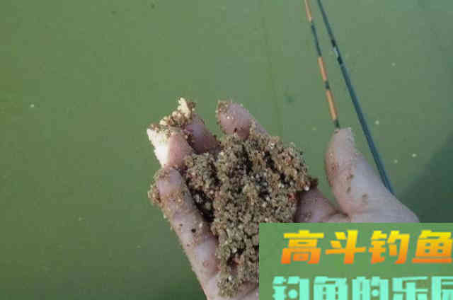 气温太低,板鲫只要按我说的钓,一根竿猛拉不断 气温太低,板鲫只要按我说的钓,一根竿猛拉不断
