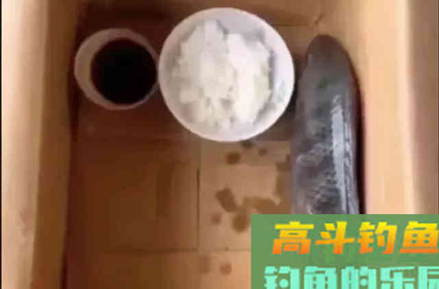 这5种鱼经常被钓友吐槽，一旦进窝就不肯走