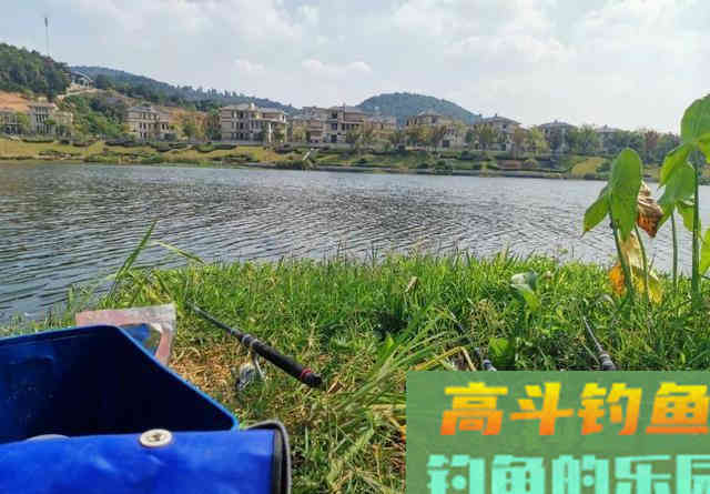 抛竿钓鲢鳙的5个常识性问题