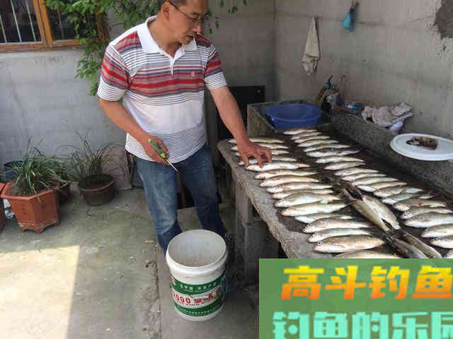 清明后黄尾狂口,技巧鱼攻略分享 清明后黄尾狂口,技巧鱼攻略分享
