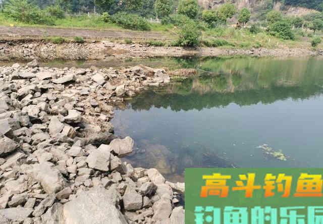 冬钓鲤鱼得先找“窝” 冬钓鲤鱼得先找“窝”