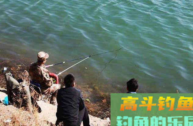 冬末春初好钓鲫鱼，来看看钓鱼技巧