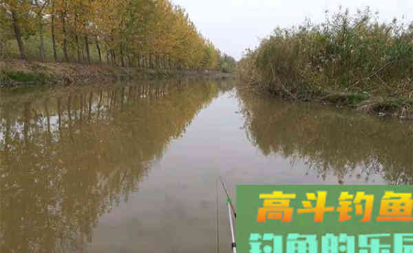深秋手竿钓鲫鱼的这些变化,钓法得当更能钓到大板鲫 深秋手竿钓鲫鱼的这些变化,钓法得当更能钓到大板鲫