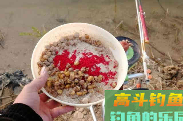 一提冬钓，我只喜欢用这方法对付鲫鱼