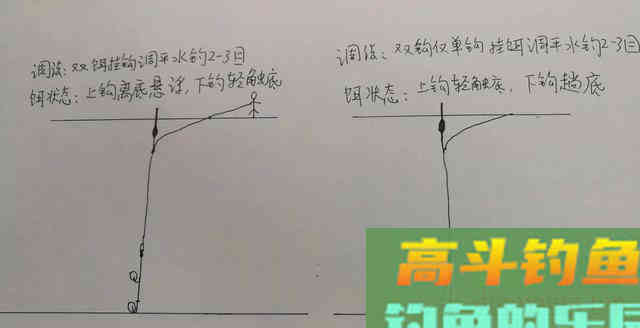 如何钓草鱼?应因地制宜,分析鱼情特点正确选择钓底 如何钓草鱼?应因地制宜,分析鱼情特点正确选择钓底
