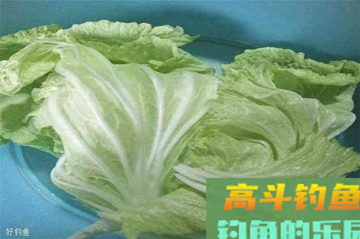 玉米粒搭配白菜，野钓草鱼很简单