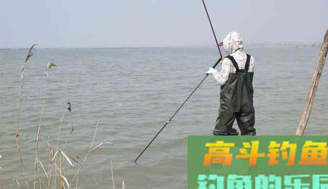 夏季,淡水鲈鱼的岸提钓法 夏季,淡水鲈鱼的岸提钓法