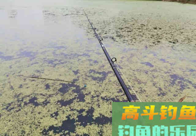 春天的黑鱼为何只咬一口？从水温入手找原因