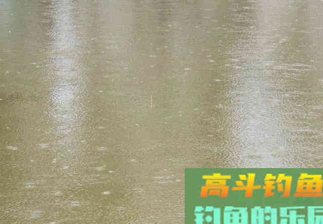 钓鲤鱼如何调漂？是一钩到底一钩悬浮好