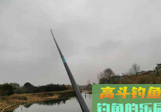 手竿钓鲢鳙,你不知道的5个小知识 手竿钓鲢鳙,你不知道的5个小知识