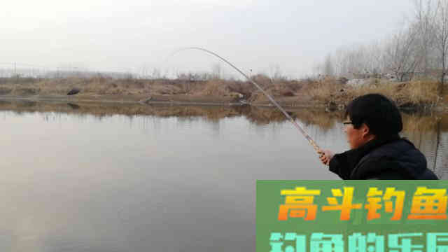 掌握这六大钓鲤技巧，外出垂钓再也不空军